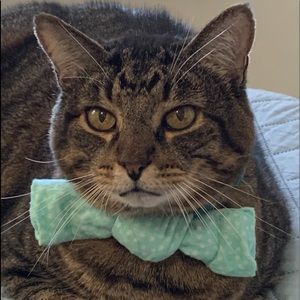 Meet your Posher, Kizzy